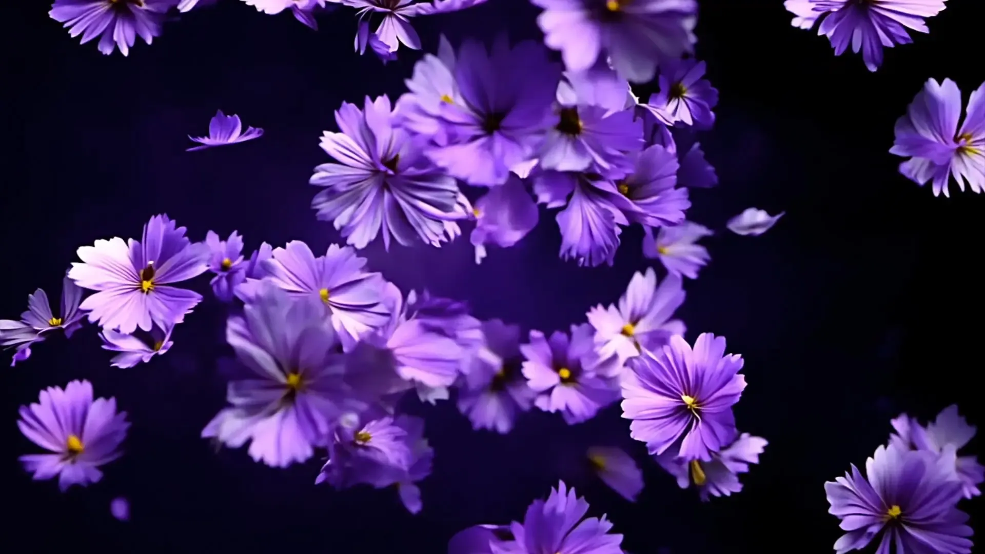 Swirling Purple Flower Animation for Beauty Product Ads